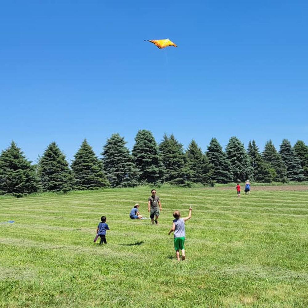 Kites On The Prairie 2022 (Kite Day)